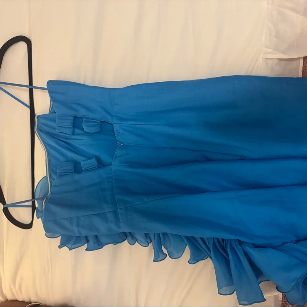 Blue Ruffled Strapless Dress - Picture 3 of 3